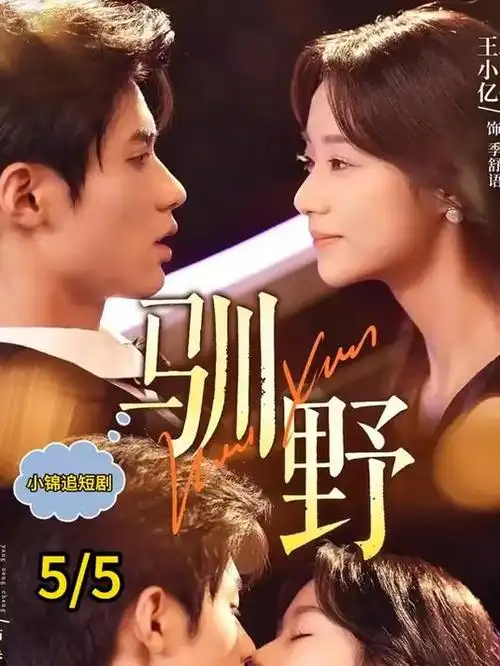 归途列车 年代剧全集在线观看